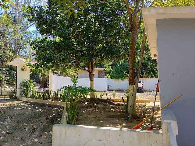 place photo 26