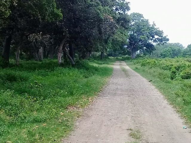 place photo 19