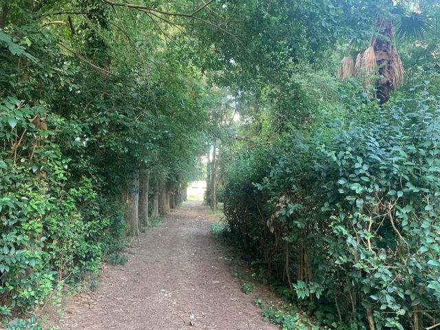 place photo 29