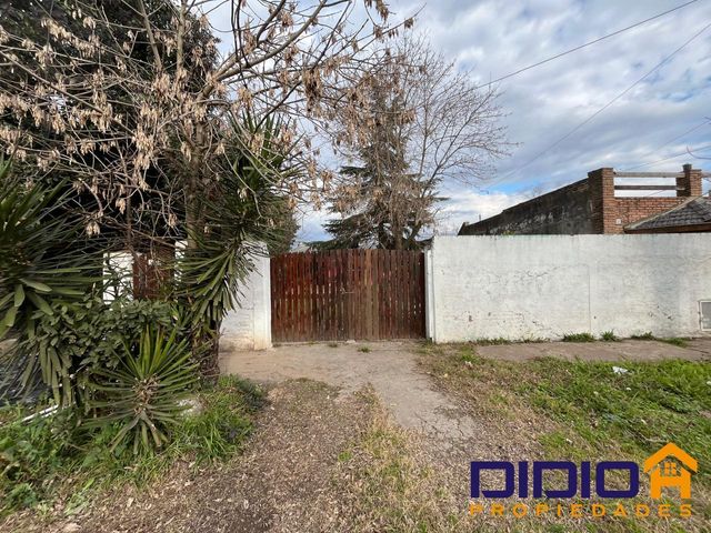 place photo 19