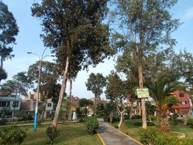 place photo 21