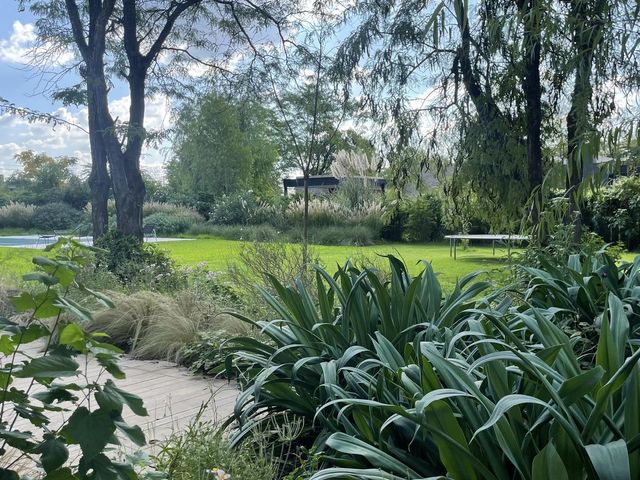 place photo 38
