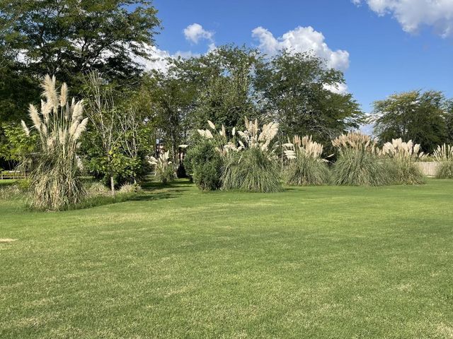 place photo 35