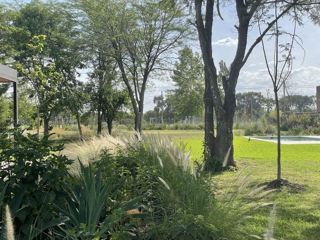 place photo 39
