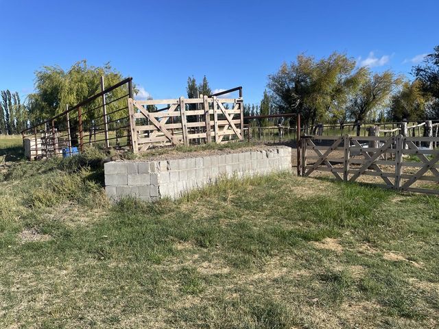 place photo 26