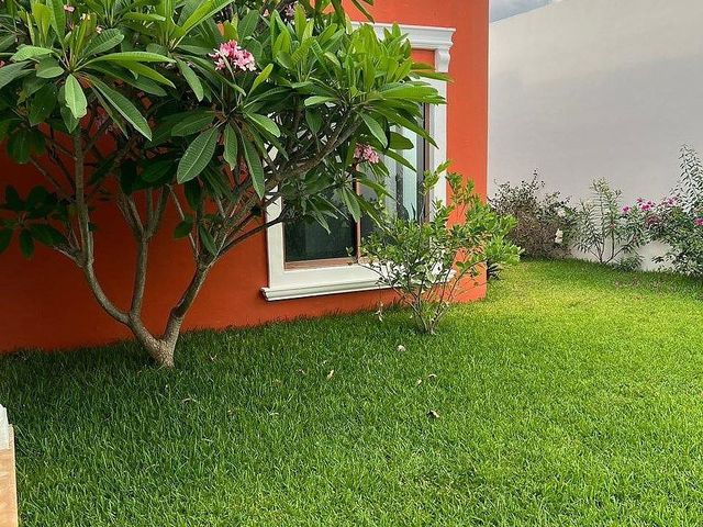 place photo 30