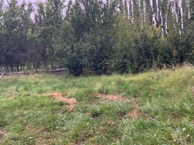place photo 26