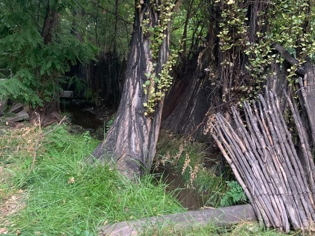 place photo 32