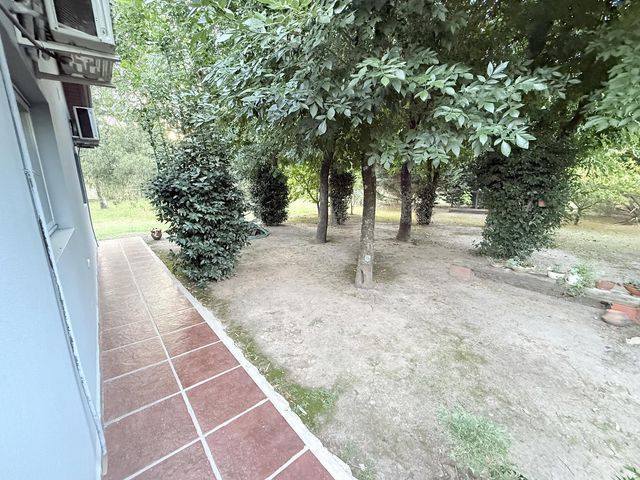 place photo 56