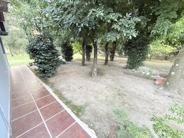 place photo 58