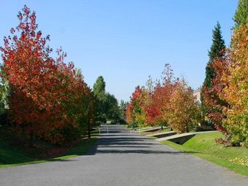 place photo 57
