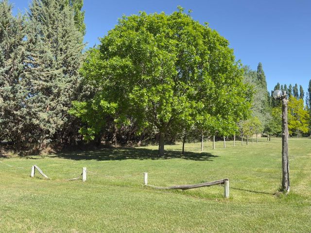 place photo 36