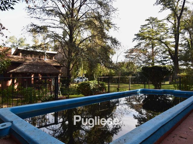 place photo 33