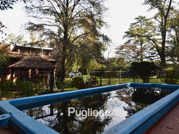 place photo 33