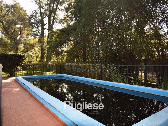 place photo 34