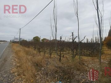 place photo 27