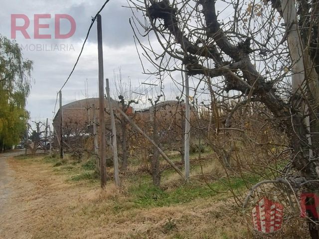 place photo 28
