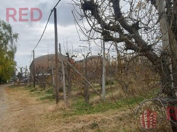 place photo 28