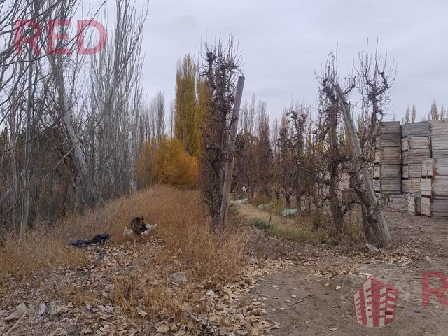 place photo 22