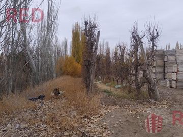 place photo 22
