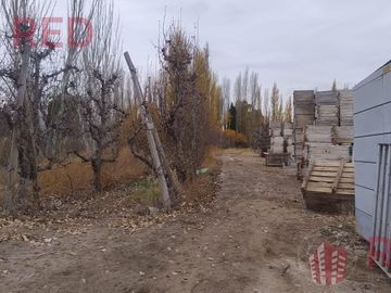 place photo 21