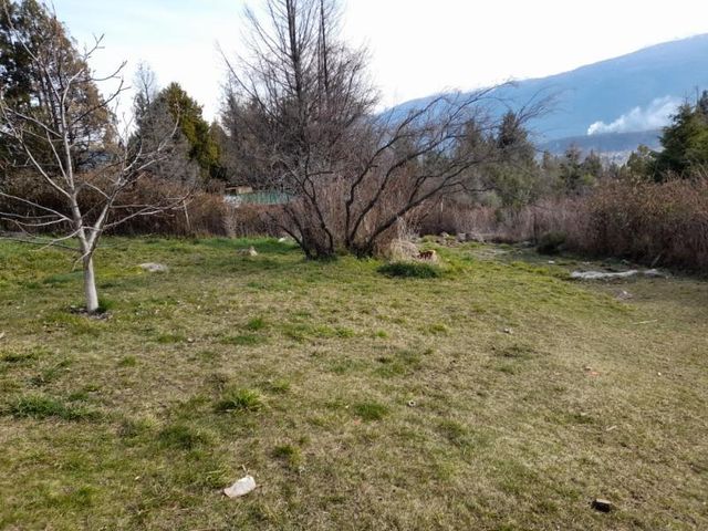 place photo 27