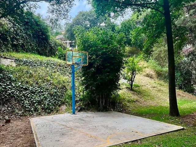 place photo 29