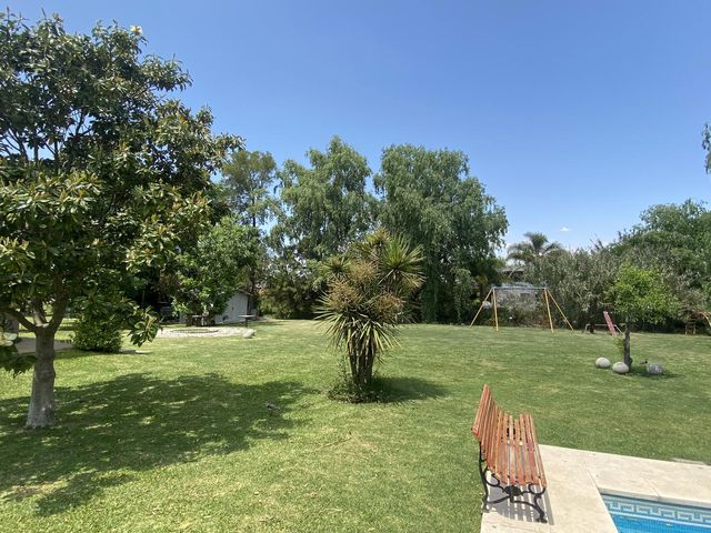 place photo 43