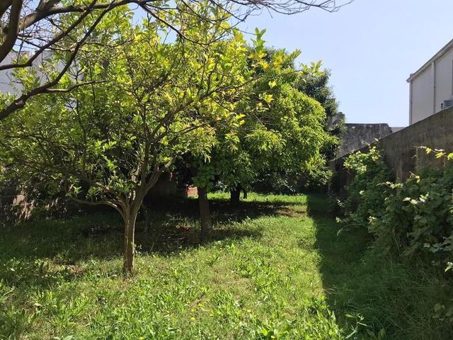 place photo 17