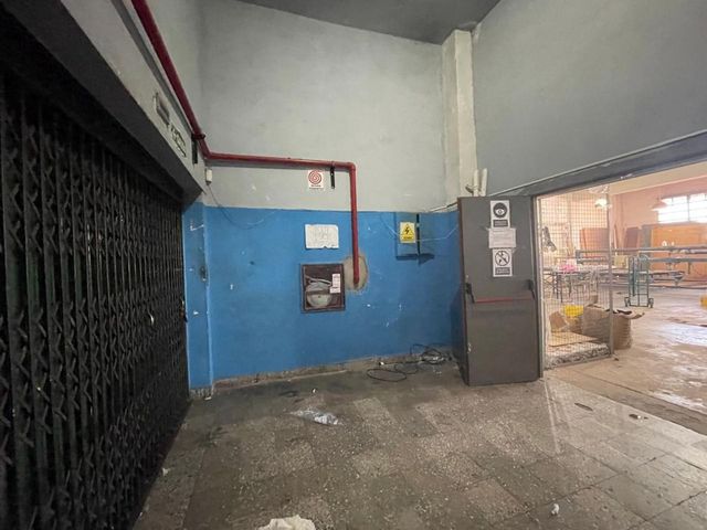 place photo 39