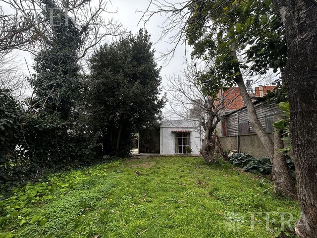 place photo 18
