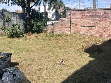 place photo 23