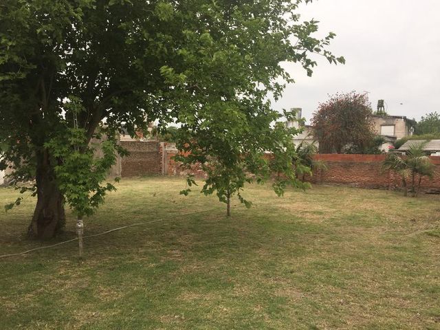 place photo 36