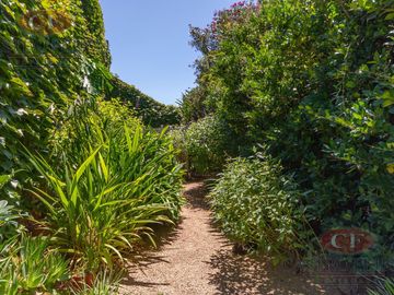 place photo 73