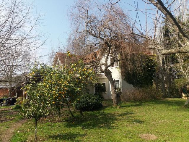 place photo 45
