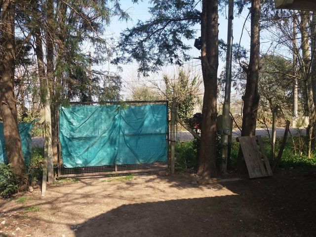 place photo 40