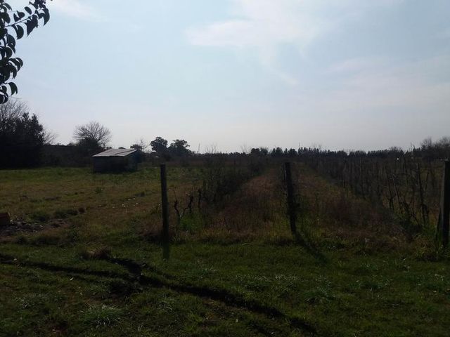 place photo 43