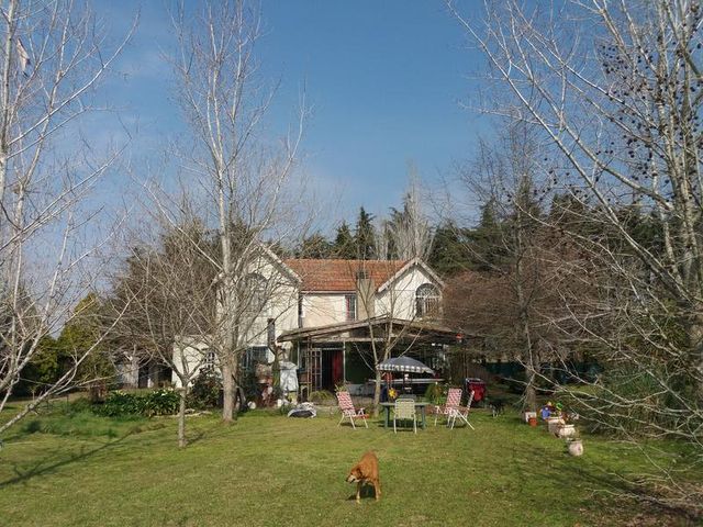 place photo 50
