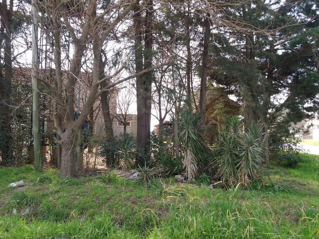 place photo 58