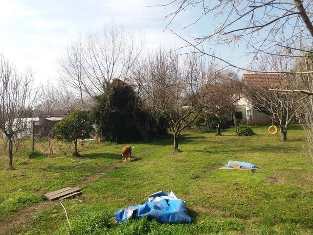 place photo 41