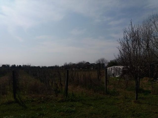 place photo 59