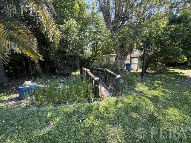 place photo 42