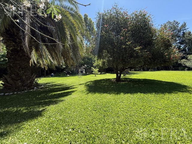 place photo 39