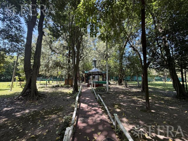 place photo 47
