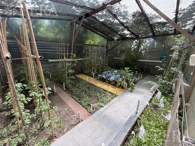 place photo 43