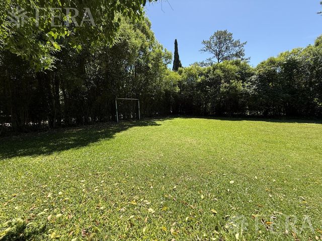 place photo 58