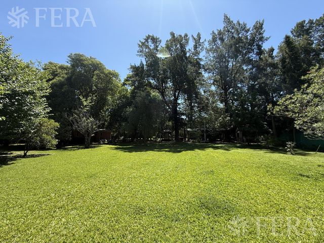 place photo 44