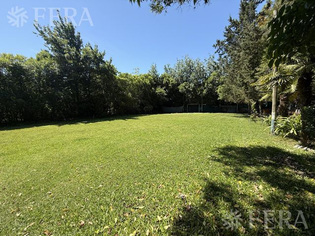 place photo 57