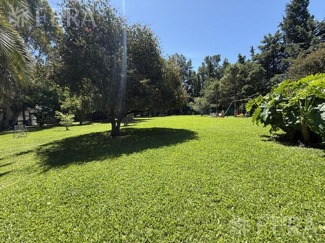 place photo 40