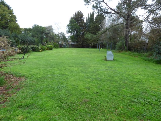 place photo 38